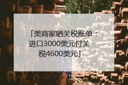美商家晒关税账单：进口3000美元付关税4600美元