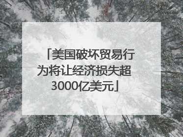 美国破坏贸易行为将让经济损失超3000亿美元