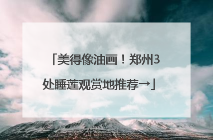 美得像油画！郑州3处睡莲观赏地推荐→