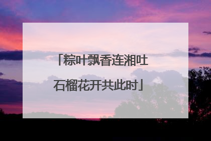 粽叶飘香连湘吐 石榴花开共此时