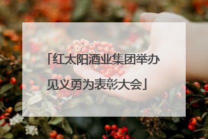 红太阳酒业集团举办见义勇为表彰大会