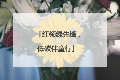 红领绿先锋，低碳伴童行