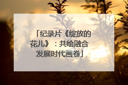 纪录片《绽放的花儿》：共绘融合发展时代画卷