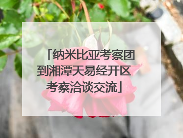 纳米比亚考察团到湘潭天易经开区考察洽谈交流