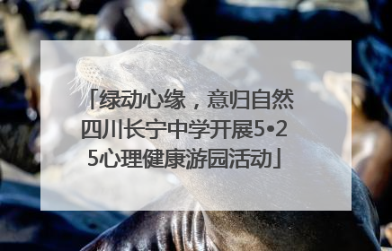 绿动心缘，意归自然 四川长宁中学开展5•25心理健康游园活动