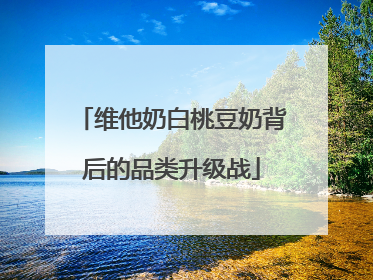维他奶白桃豆奶背后的品类升级战