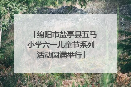 绵阳市盐亭县五马小学六一儿童节系列活动圆满举行