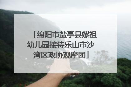 绵阳市盐亭县嫘祖幼儿园接待乐山市沙湾区政协观摩团