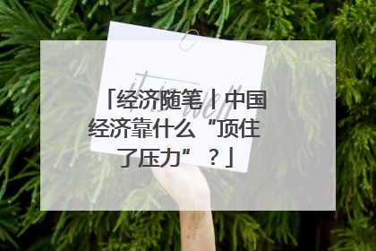 经济随笔丨中国经济靠什么“顶住了压力”？