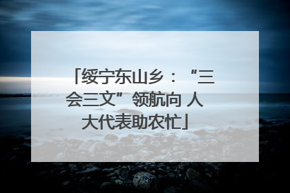 绥宁东山乡：“三会三文”领航向 人大代表助农忙