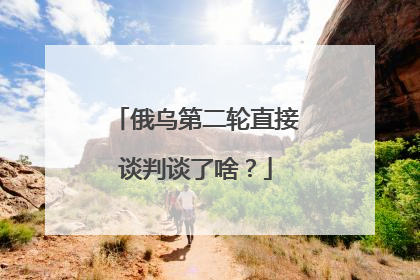 俄乌第二轮直接谈判谈了啥？