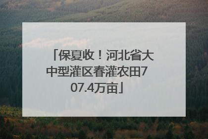 保夏收！河北省大中型灌区春灌农田707.4万亩