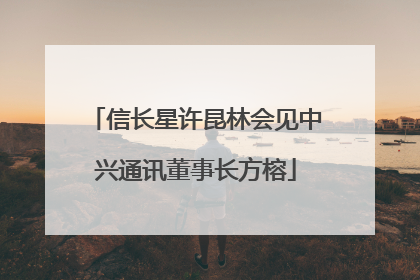 信长星许昆林会见中兴通讯董事长方榕
