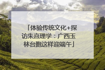 体验传统文化+探访朱熹理学：广西玉林台胞这样迎端午