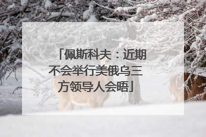 佩斯科夫：近期不会举行美俄乌三方领导人会晤