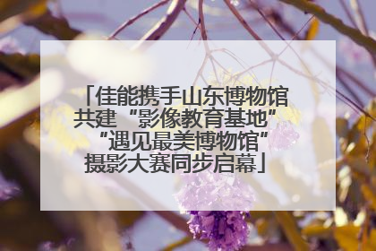 佳能携手山东博物馆共建“影像教育基地” “遇见最美博物馆”摄影大赛同步启幕