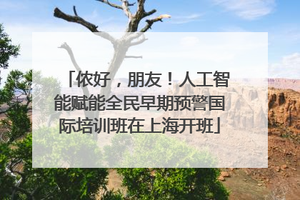 侬好，朋友！人工智能赋能全民早期预警国际培训班在上海开班