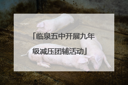 临泉五中开展九年级减压团辅活动