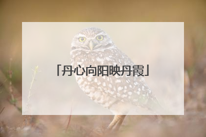 丹心向阳映丹霞