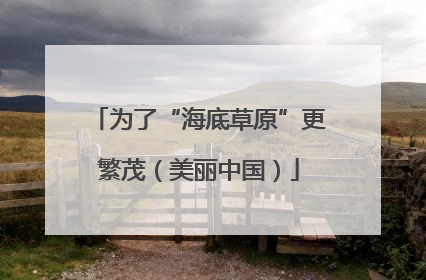 为了“海底草原”更繁茂（美丽中国）