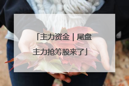 主力资金|尾盘主力抢筹股来了