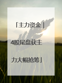 主力资金｜4股尾盘获主力大幅抢筹