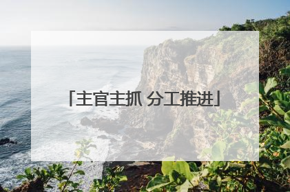 主官主抓 分工推进
