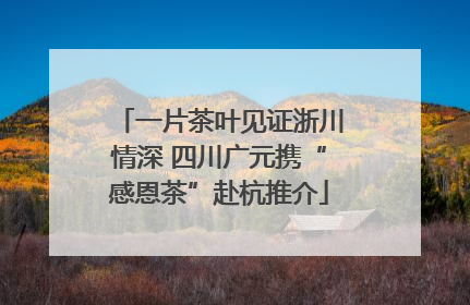 一片茶叶见证浙川情深 四川广元携“感恩茶”赴杭推介