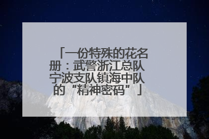 一份特殊的花名册：武警浙江总队宁波支队镇海中队的“精神密码”