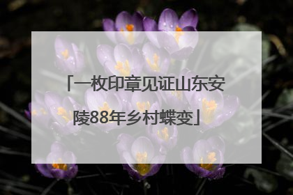 一枚印章见证山东安陵88年乡村蝶变