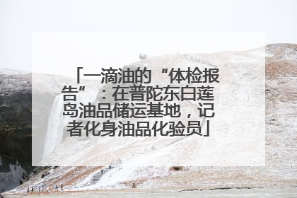 一滴油的“体检报告”：在普陀东白莲岛油品储运基地，记者化身油品化验员