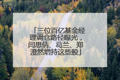 三位百亿基金经理调仓路径曝光，闫思倩、葛兰、郑澄然增持这些股