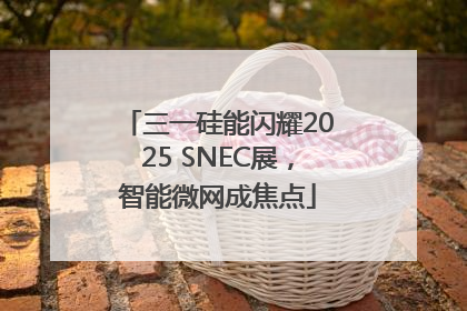 三一硅能闪耀2025 SNEC展，智能微网成焦点