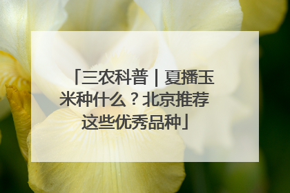 三农科普｜夏播玉米种什么？北京推荐这些优秀品种