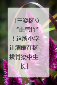 三姿挺立“正气竹”！这所小学让清廉在挺拔脊梁中生长