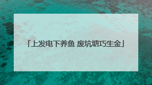 上发电下养鱼 废坑塘巧生金