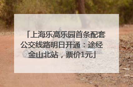上海乐高乐园首条配套公交线路明日开通：途经金山北站，票价1元