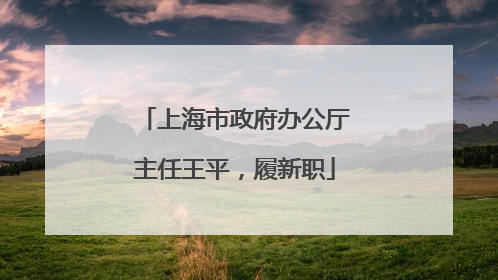 上海市政府办公厅主任王平，履新职