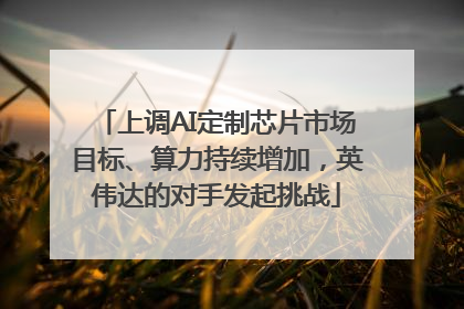 上调AI定制芯片市场目标、算力持续增加，英伟达的对手发起挑战