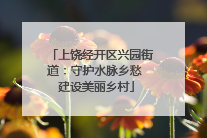 上饶经开区兴园街道：守护水脉乡愁 建设美丽乡村