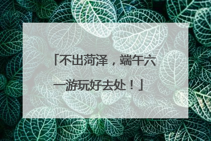 不出菏泽，端午六一游玩好去处！