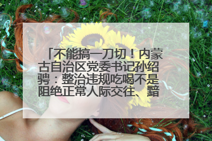 不能搞一刀切！内蒙古自治区党委书记孙绍骋：整治违规吃喝不是阻绝正常人际交往、黯淡人间烟火