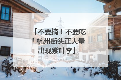 不要摘！不要吃！杭州街头正大量出现紫叶李