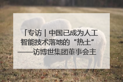 专访｜中国已成为人工智能技术落地的“热土”——访博世集团董事会主席斯特凡·哈通