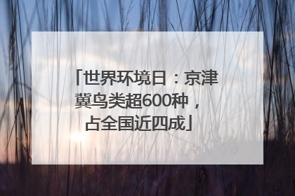 世界环境日：京津冀鸟类超600种，占全国近四成