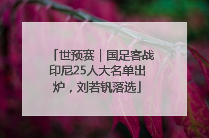 世预赛｜国足客战印尼25人大名单出炉，刘若钒落选