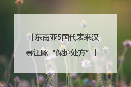 东南亚5国代表来汉寻江豚“保护处方”