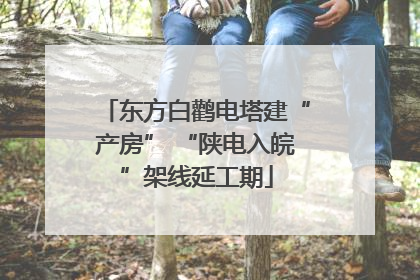 东方白鹳电塔建“产房” “陕电入皖”架线延工期