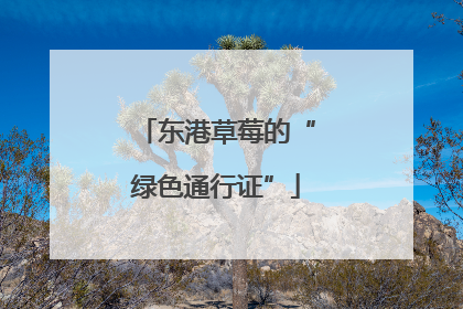 东港草莓的“绿色通行证”