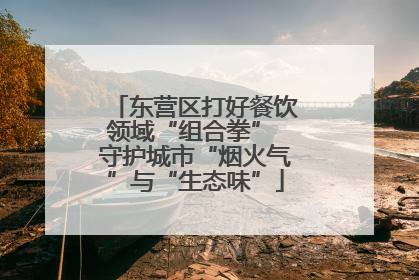东营区打好餐饮领域“组合拳” 守护城市“烟火气”与“生态味”
